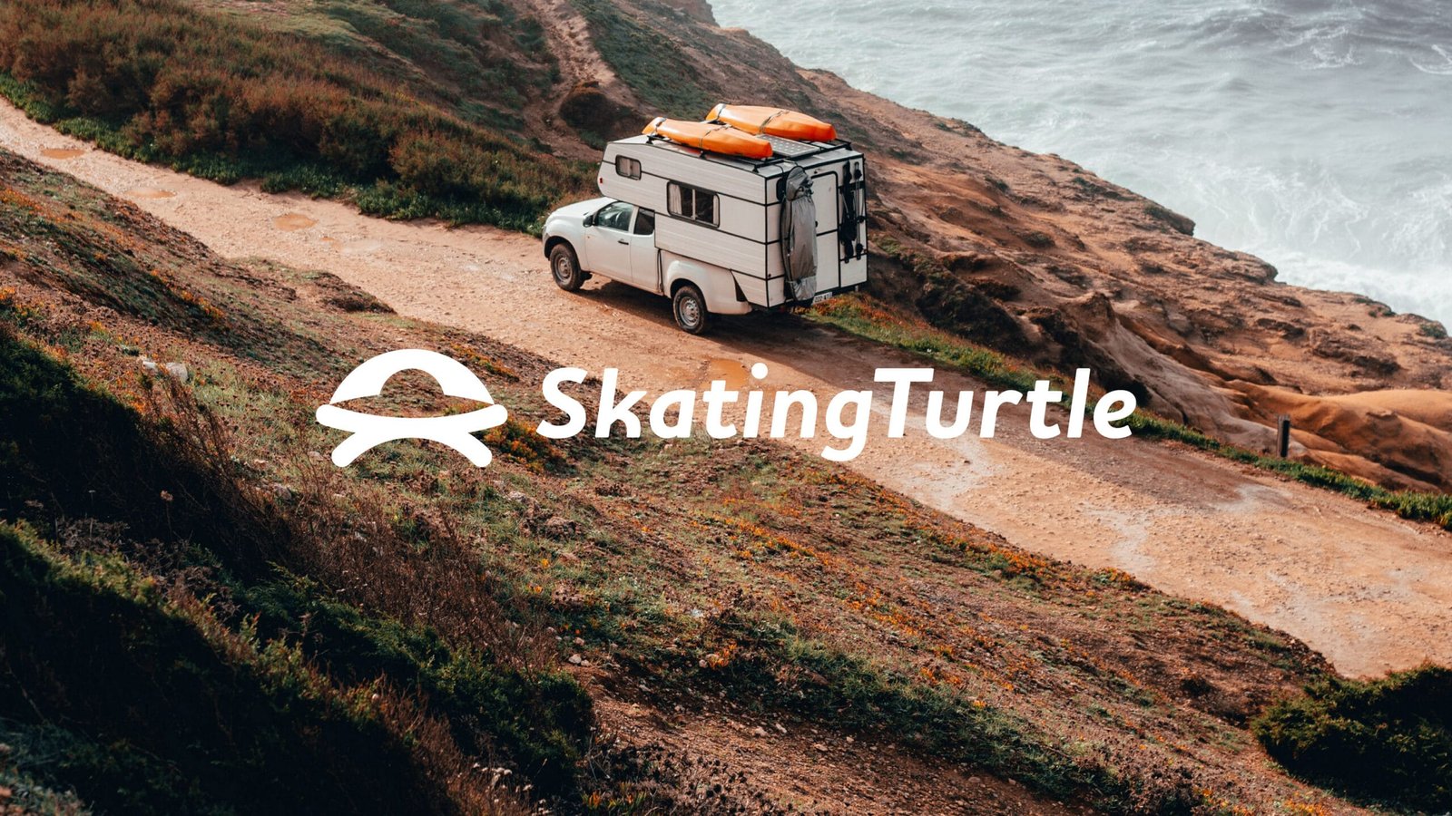 Skating Turtle
